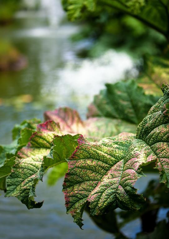 Egrove Park, University Of Oxford South Hinksey Kültér fotó