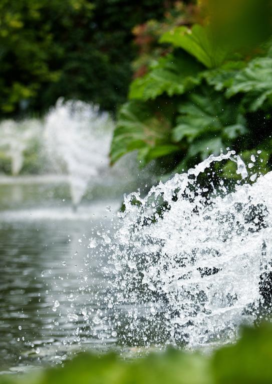 Egrove Park, University Of Oxford South Hinksey Kültér fotó