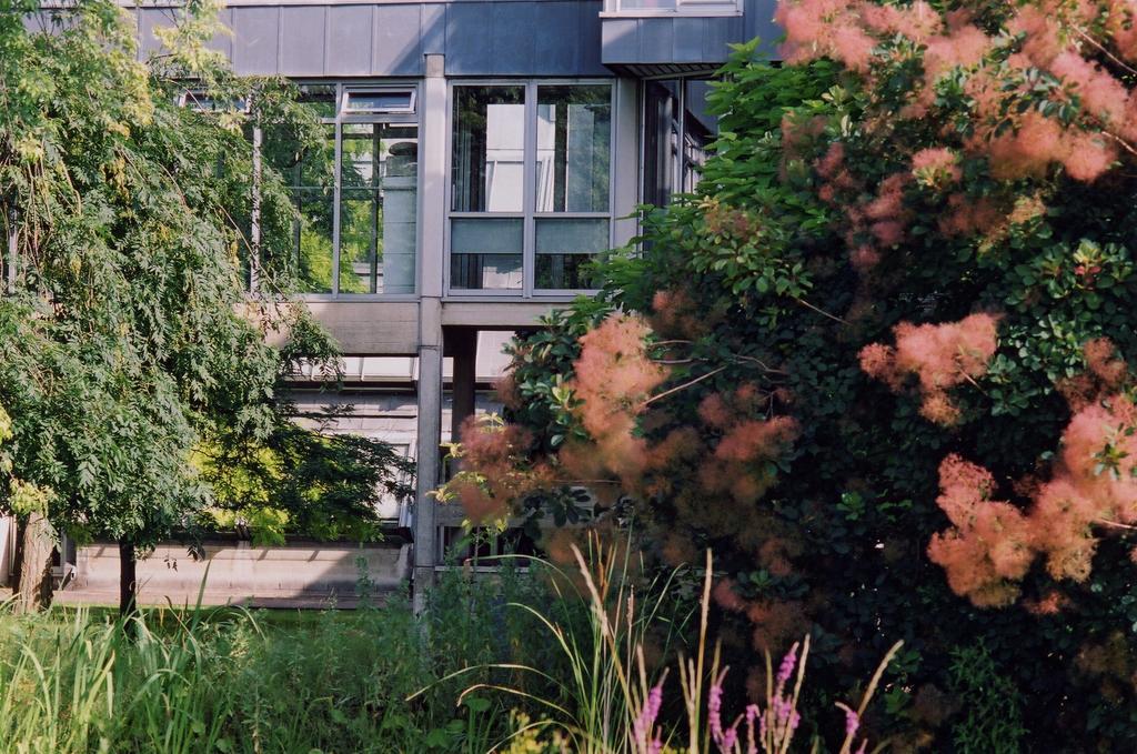 Egrove Park, University Of Oxford South Hinksey Kültér fotó